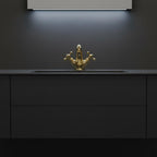 Gold faucet on a black kitchen sink with a dark gray wall in the background