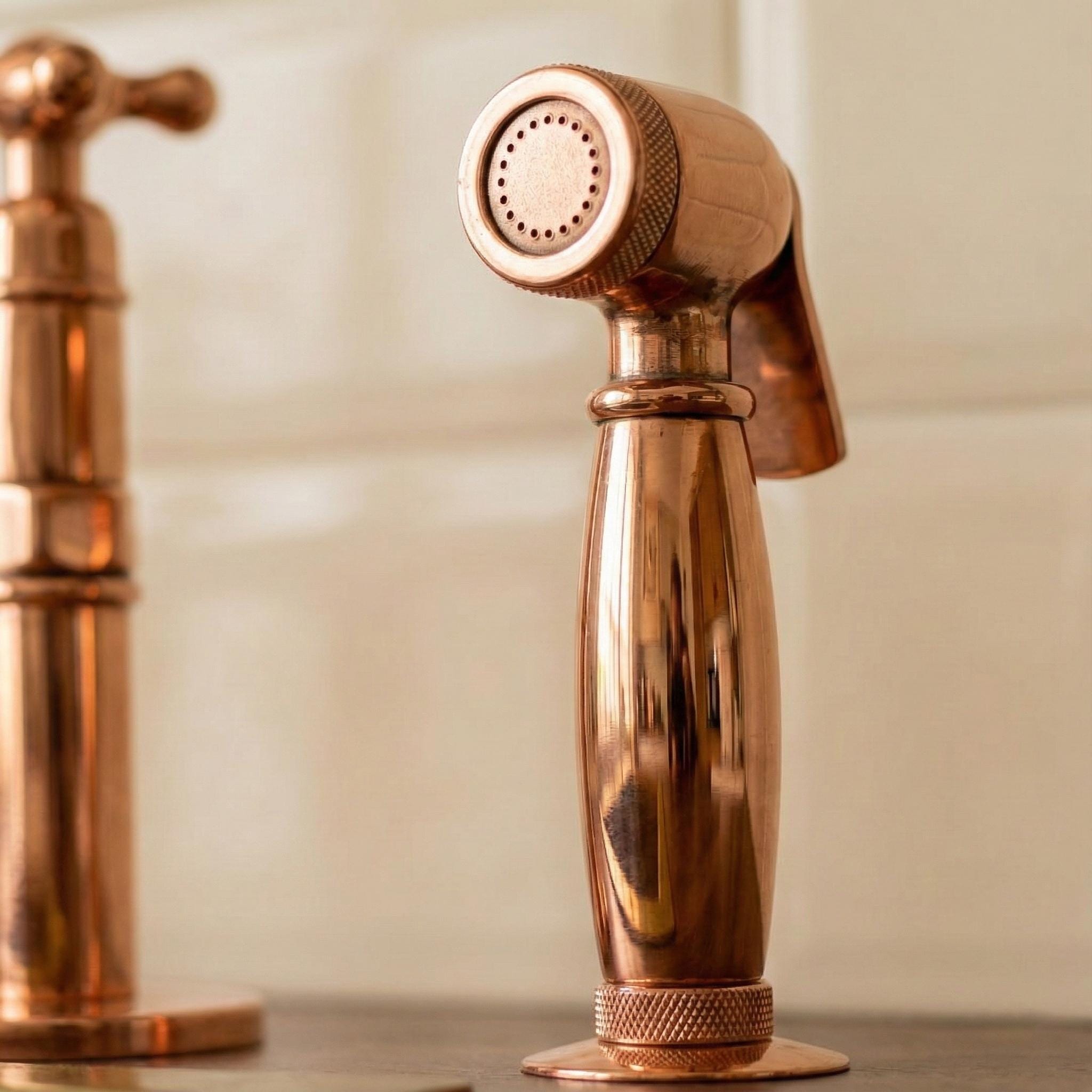 Solid Brass Farmhouse Kitchen Bridge Faucet with Sprayer And Cold Water Tap